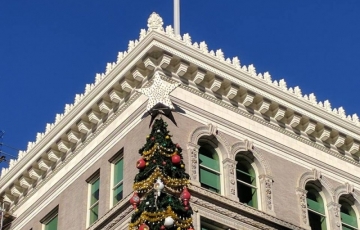 Architectural Fiberglass