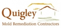 Quigley Mold Remediation